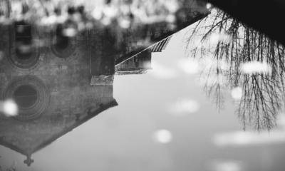 Thomas Merton, Meditating with Fireflies